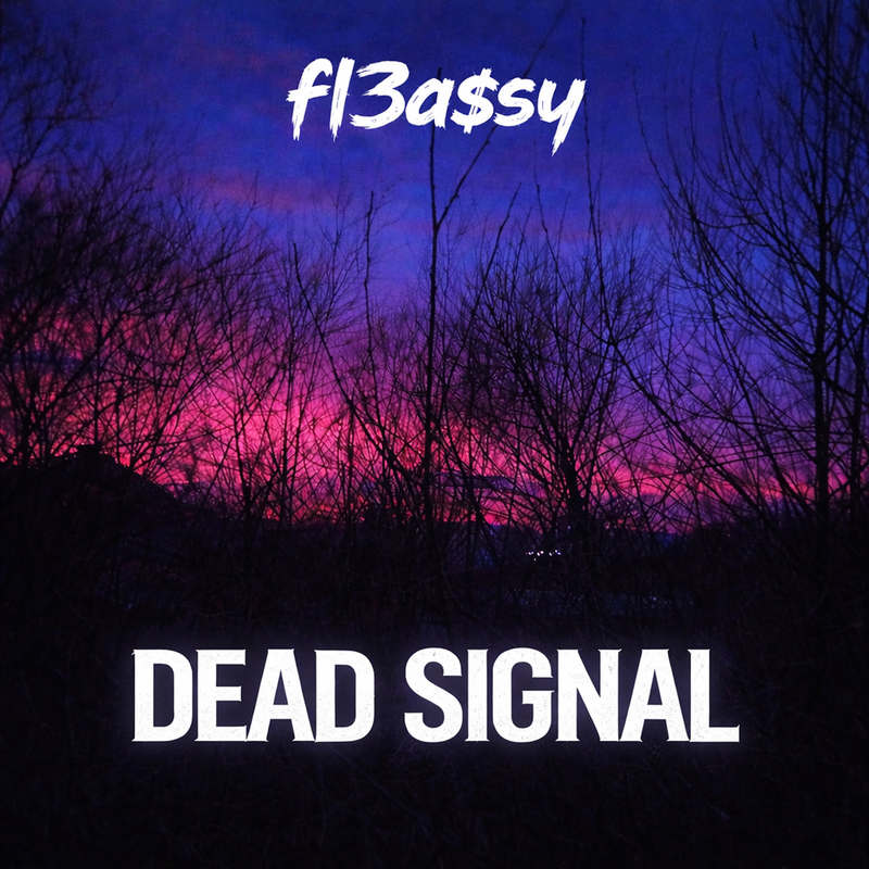 DEADSIGNAL封面