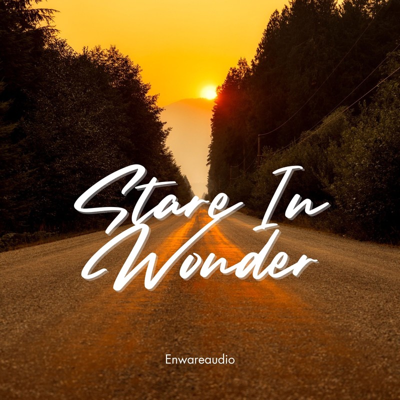 StareInWonder封面