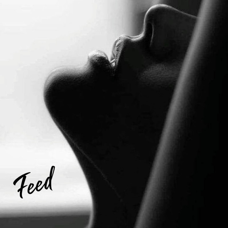 Feed封面