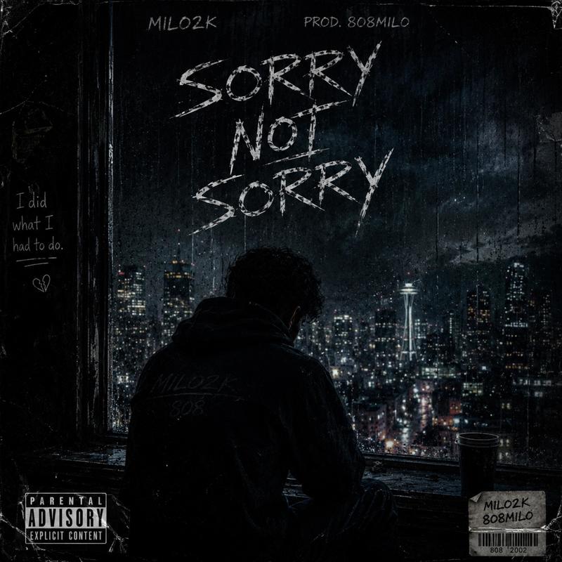 sorrynotsorry封面