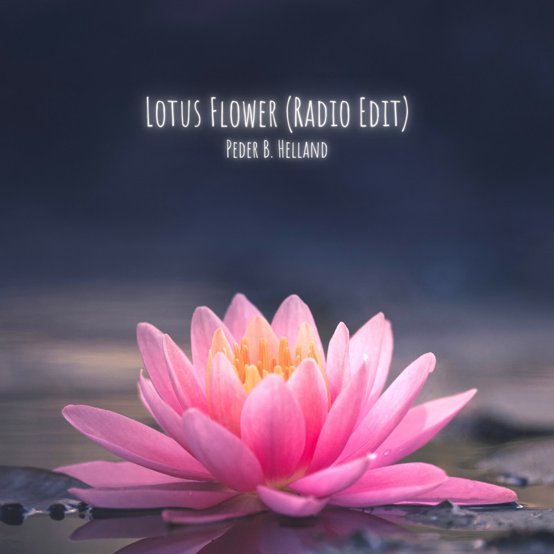 LotusFlower封面