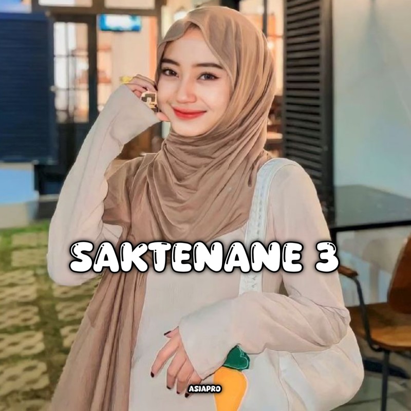 Saktenane3封面