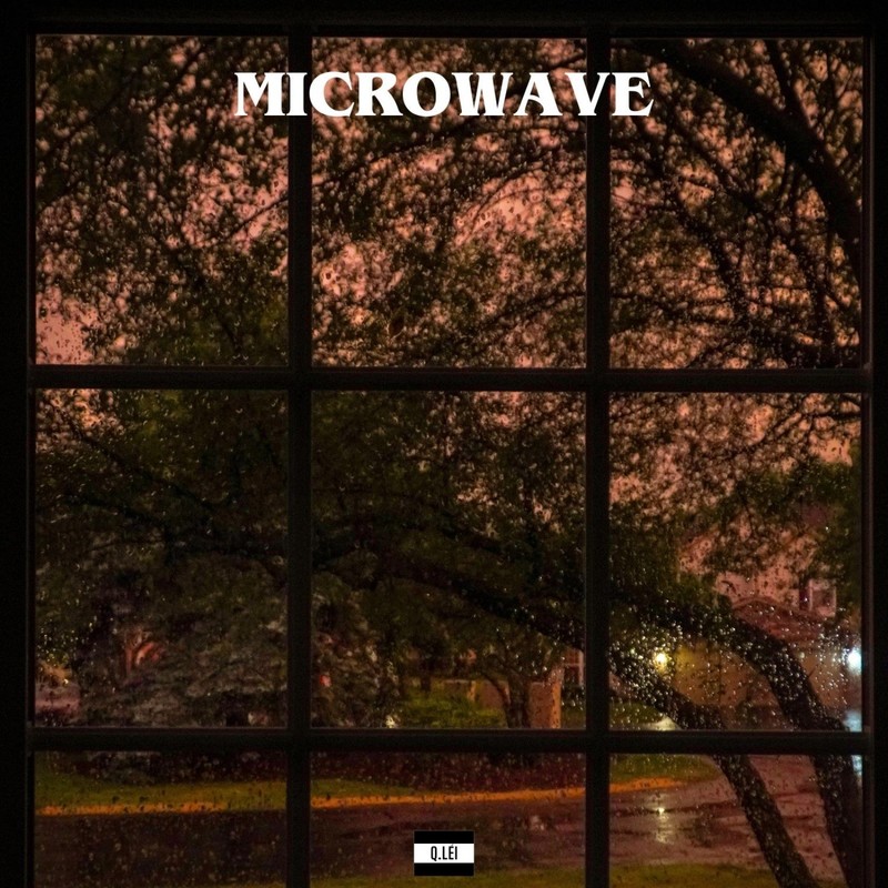 Microwave封面