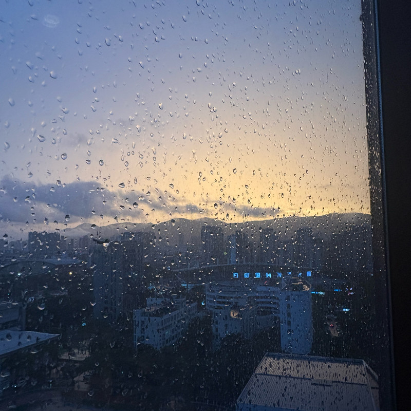 伤疤封面
