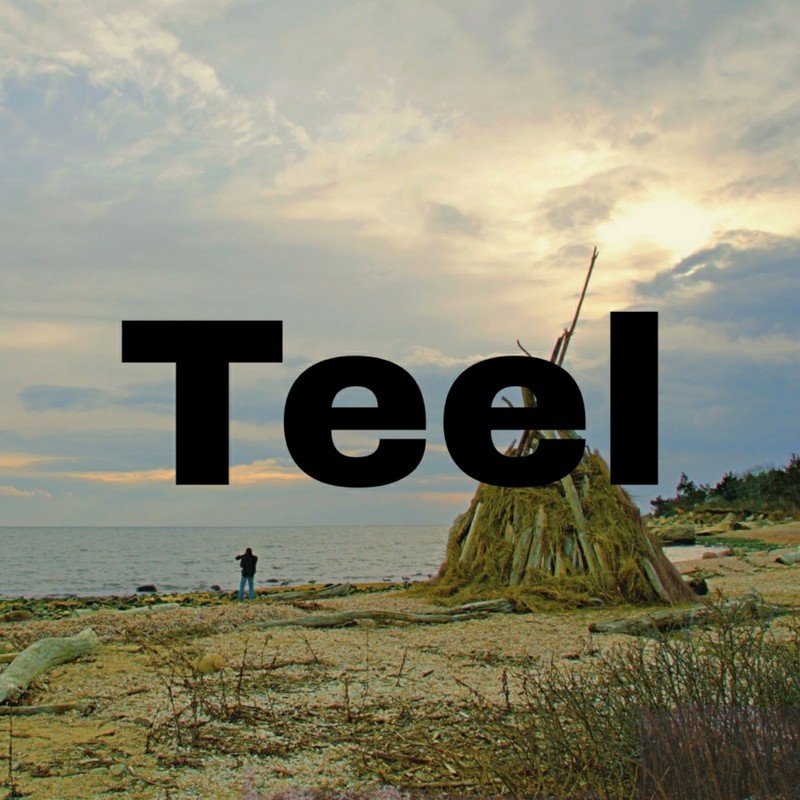 Teel封面