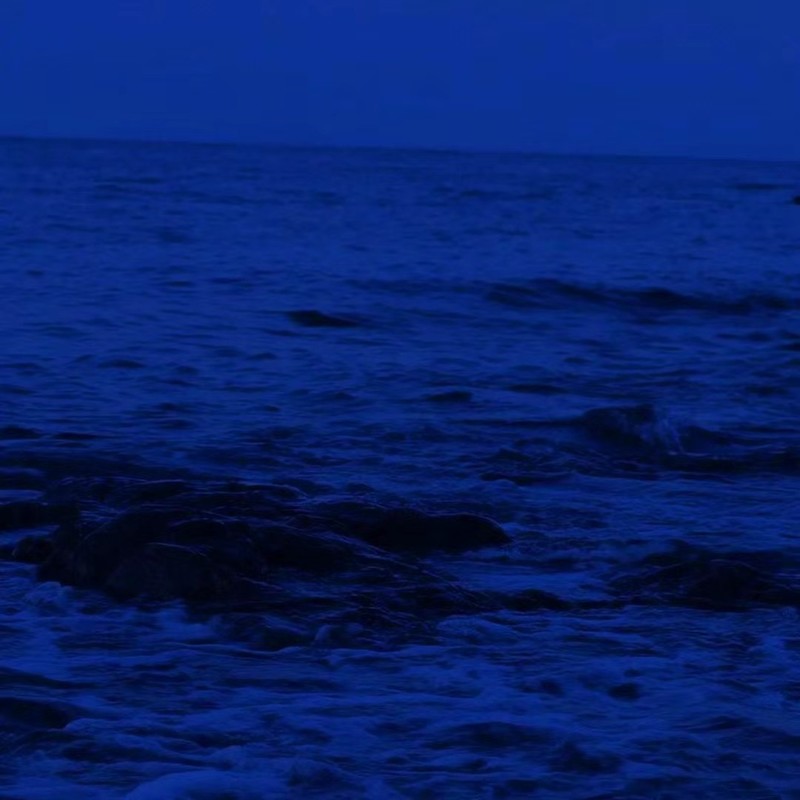 浪花封面