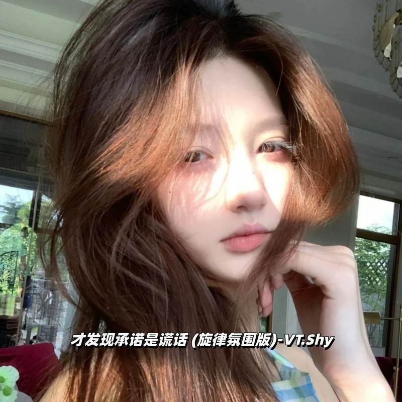 才发现承诺是谎话封面