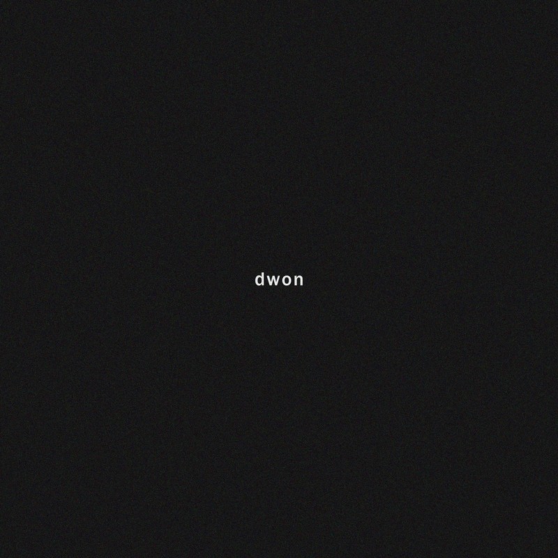 dwon封面
