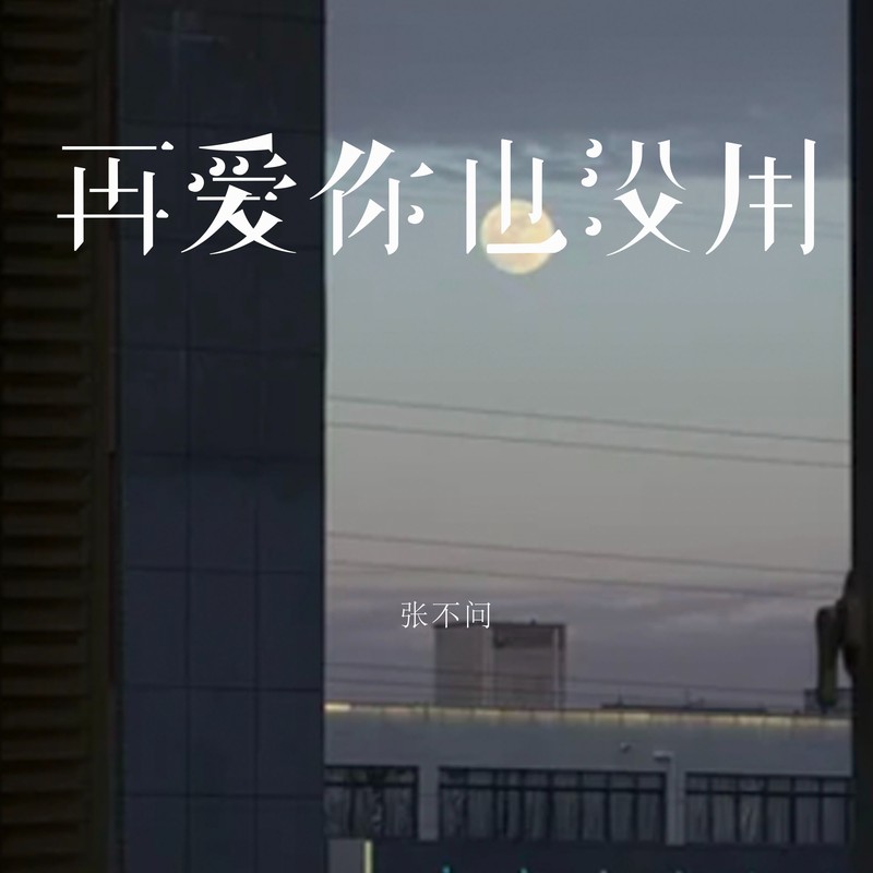 再爱你也没用封面