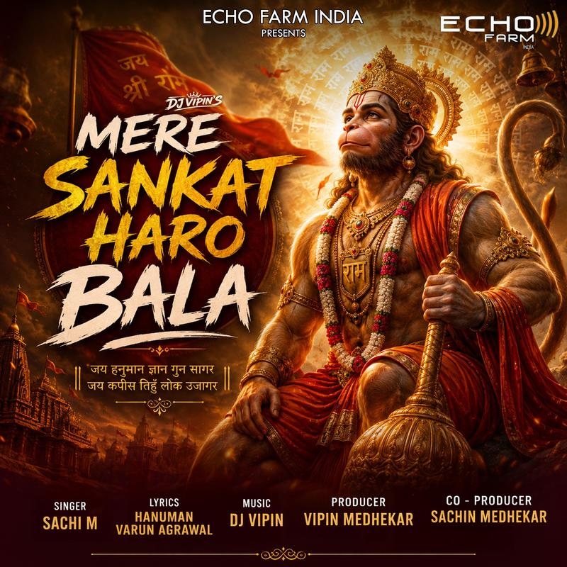 MereSankatHaroBala(feat.DJVIPIN)封面