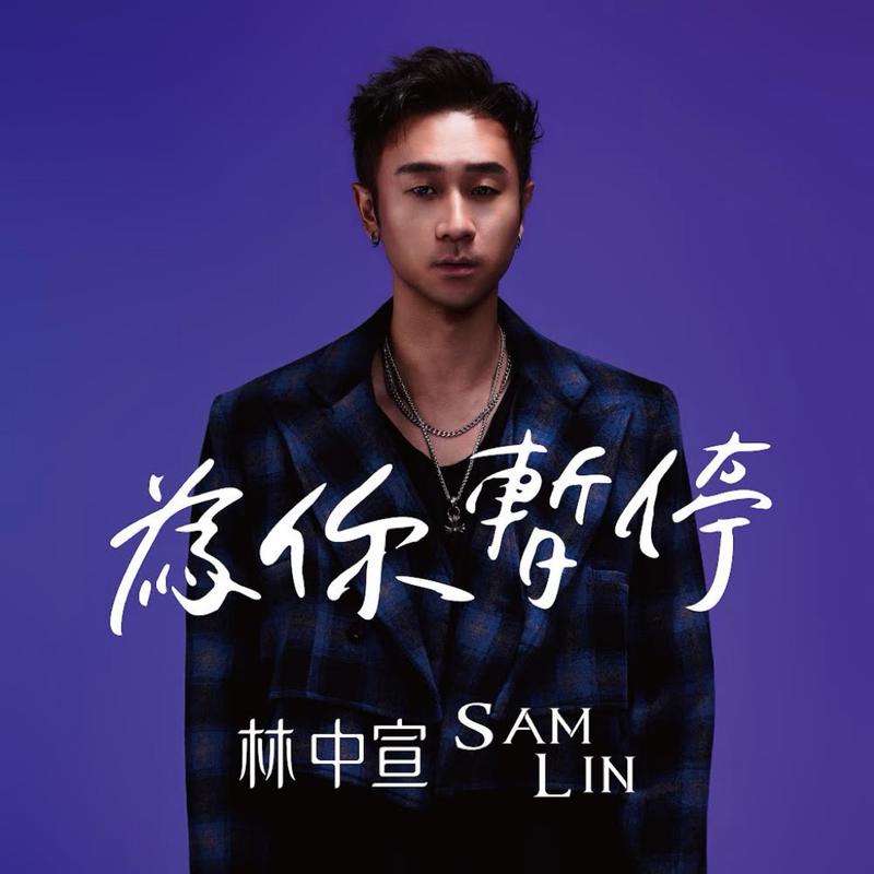 为你暂停(StopForYou)封面