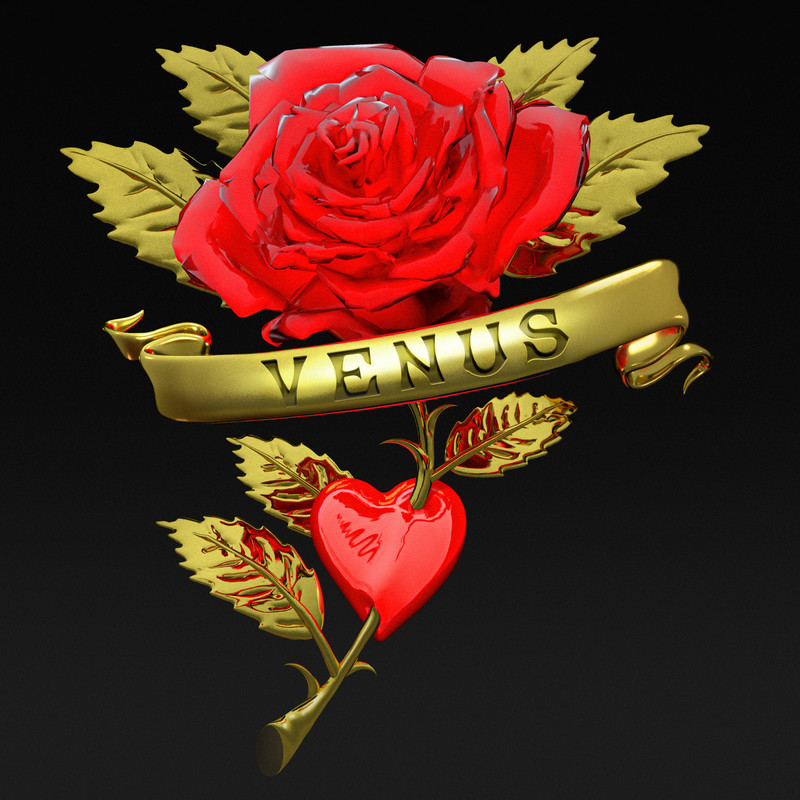 Venus封面