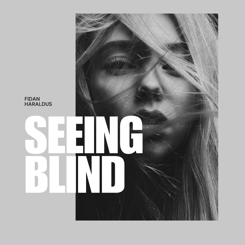 SeeingBlind封面
