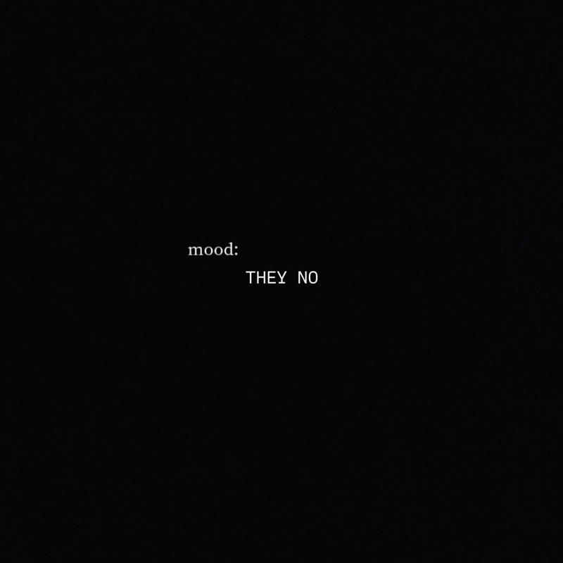 TheyNo封面