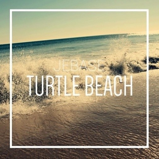 TurtleBeach封面