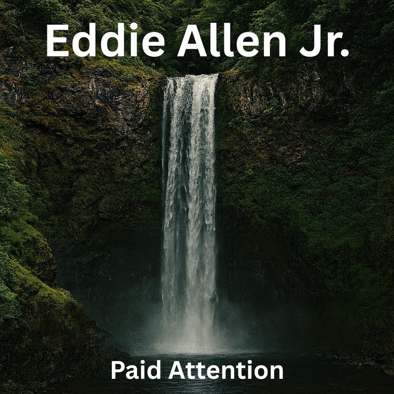 PaidAttention封面