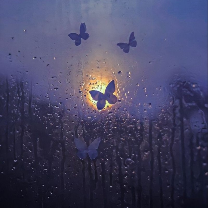 Pluviophile(InstrumentalVersion)封面
