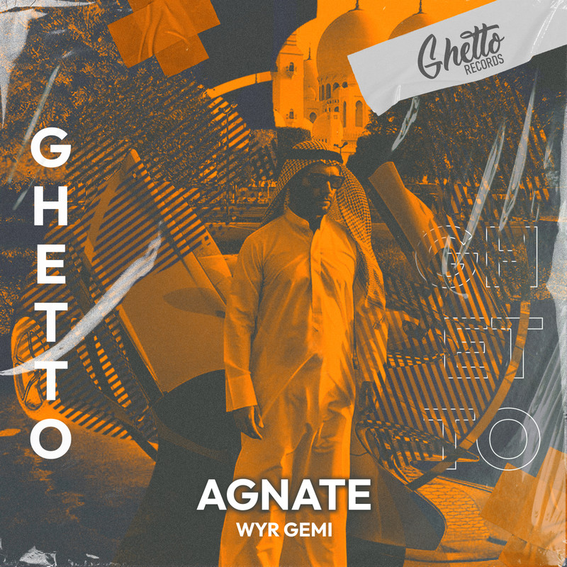agnate封面