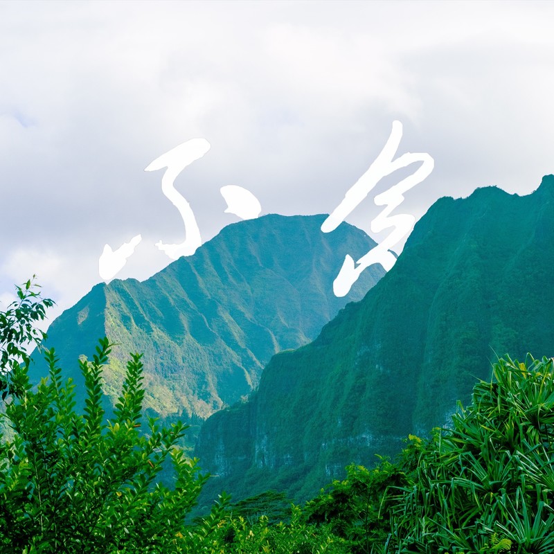 不念封面