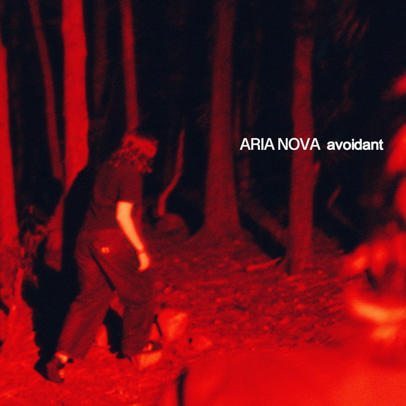 Avoidant封面