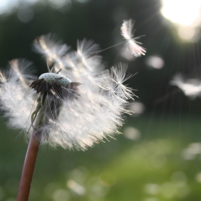 QueefsintheWind封面