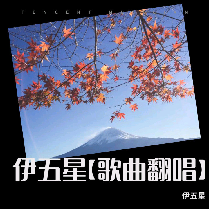 大漠红装封面