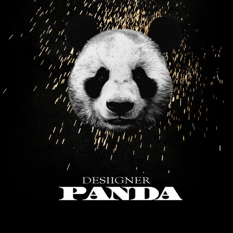 Panda封面
