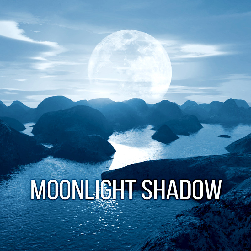 MoonlightShadow(DeepSleepMusic)封面