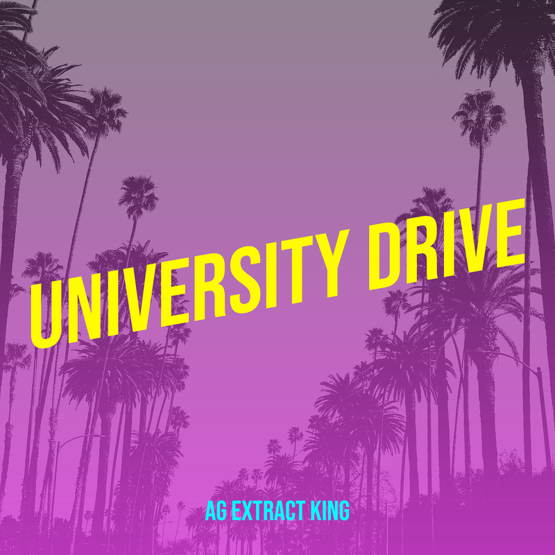 UniversityDrive封面