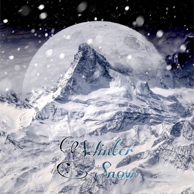 WinterSnow封面