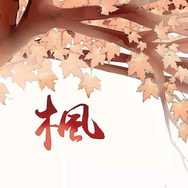 枫封面