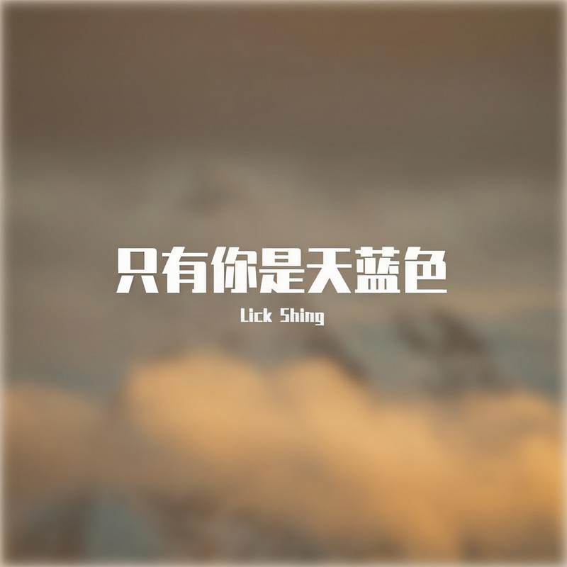 陪你去流浪封面