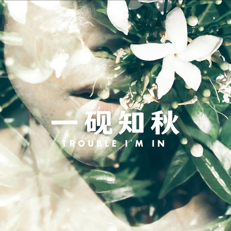 TheTroubleI'mIn封面