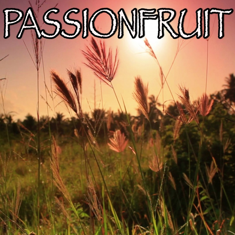 Passionfruit封面