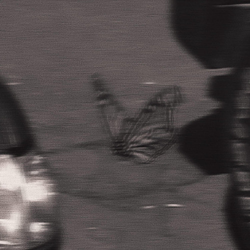 SwervedIt封面