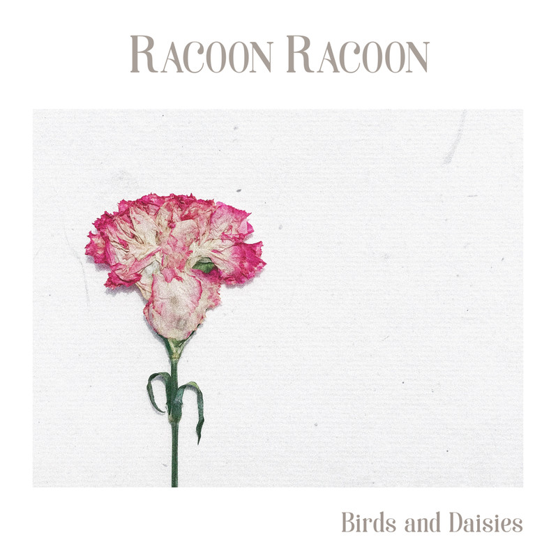 BirdsandDaisies封面