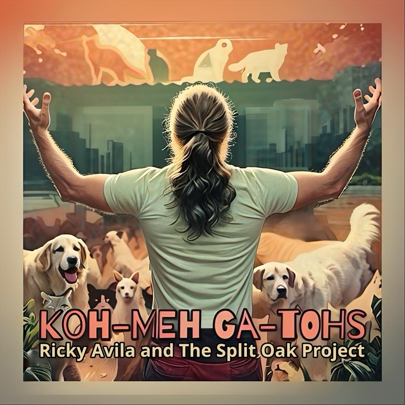 Koh封面