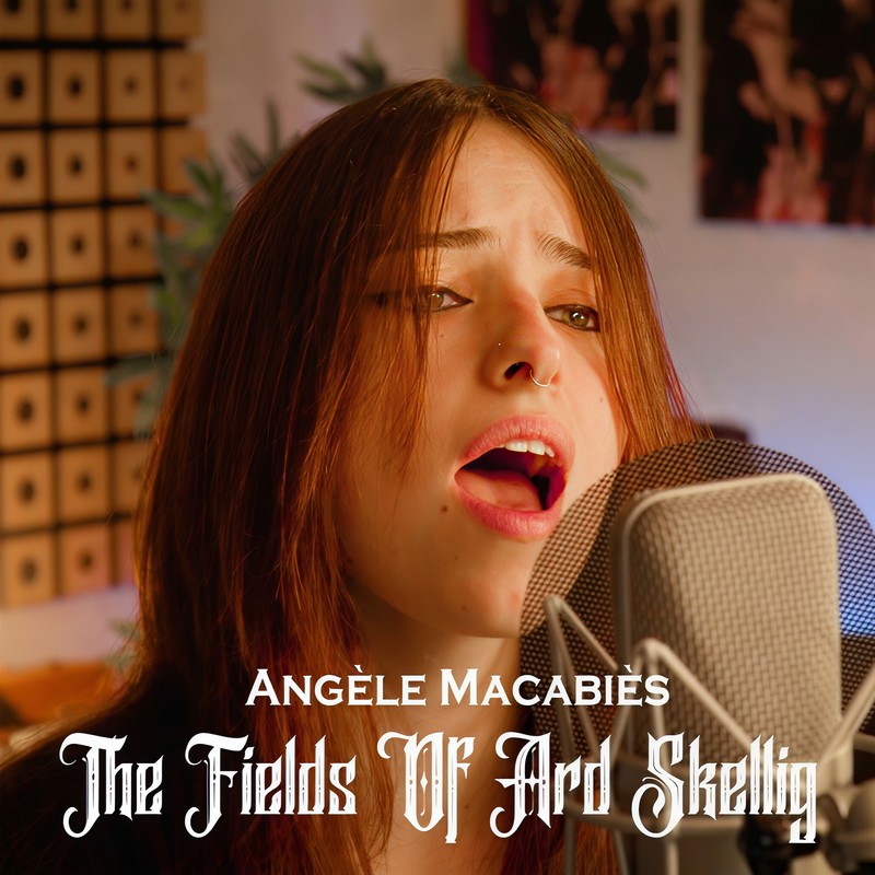 TheFieldsofArdSkellig封面