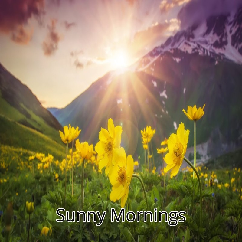 SunnyMornings封面