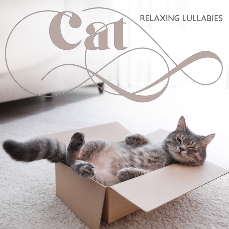 CalmCat封面