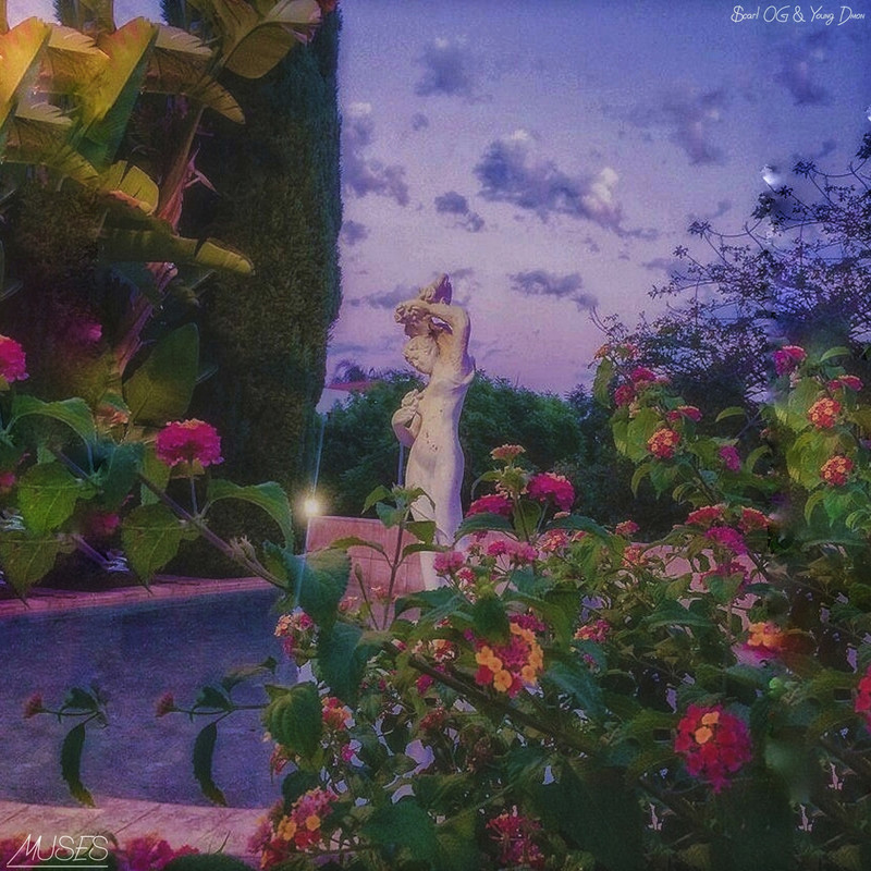 Chanel(LiveSession|Explicit)封面