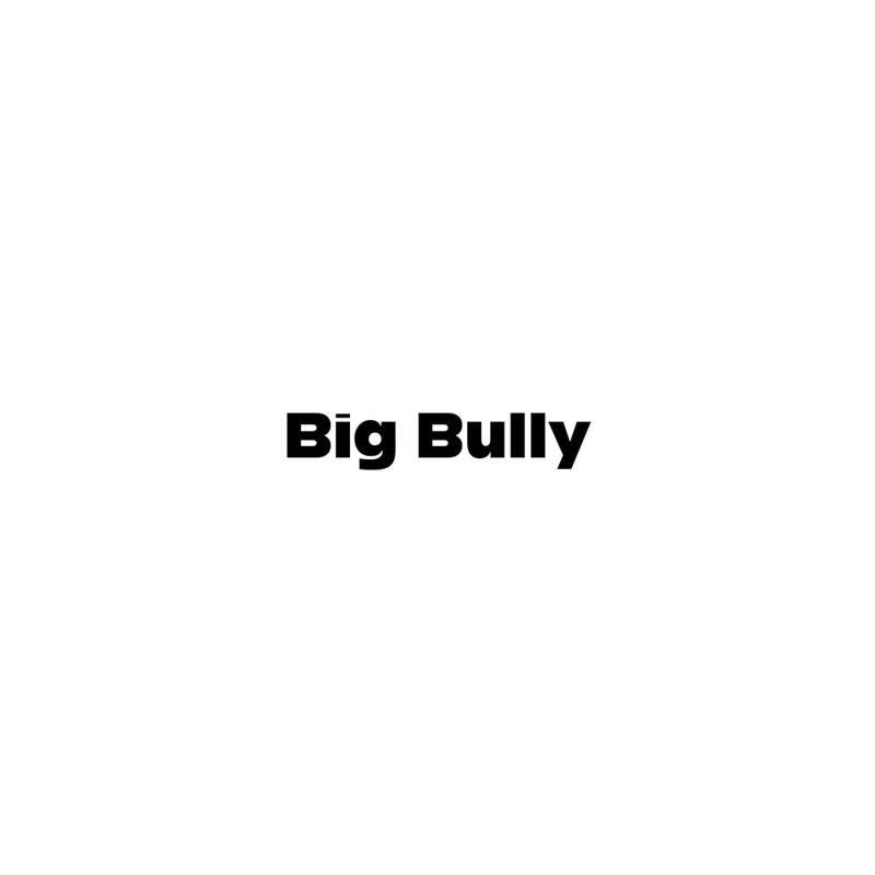 BigBully封面