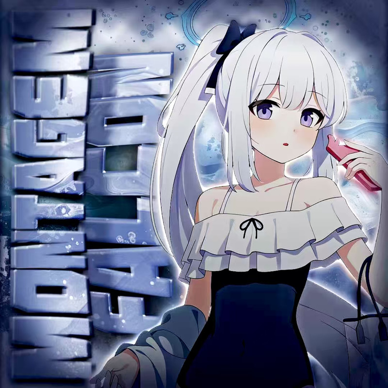 MONTGAMFALCON封面