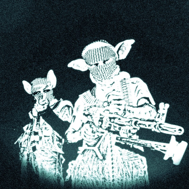 RIFLE封面