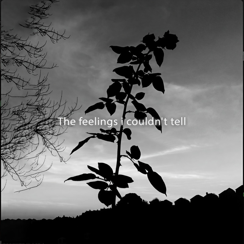 Can'tHelpFallingInLove封面
