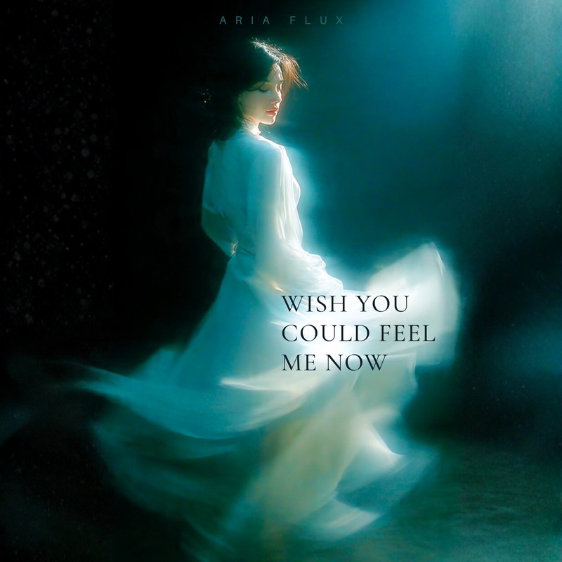 WishYouCouldFeelMeNow封面
