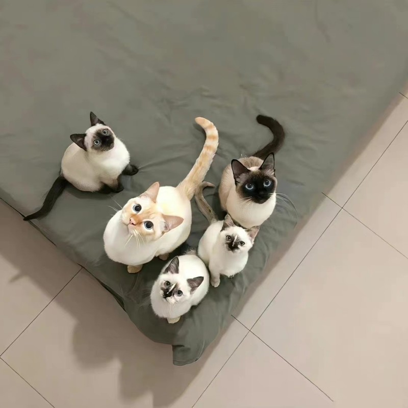 ToF封面