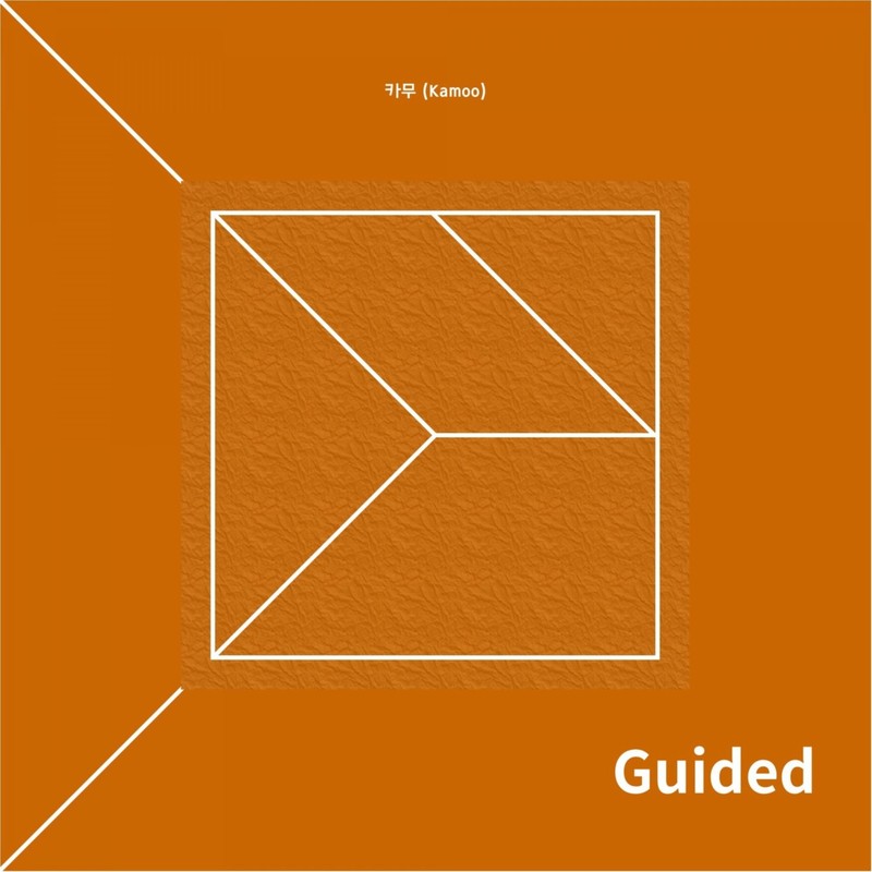 Guided封面