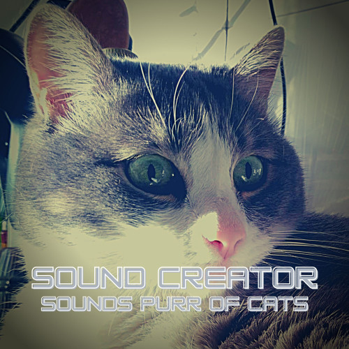 CatPurringSound封面