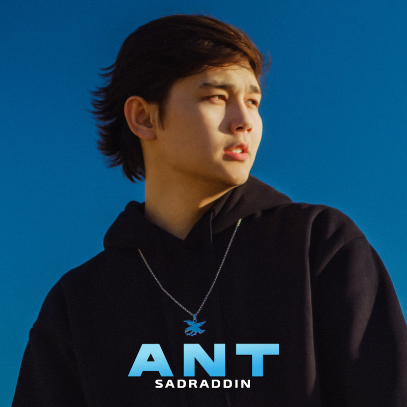 ANT封面
